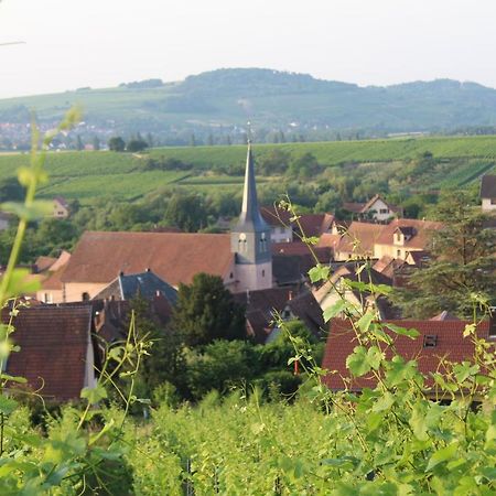 A L'Oree Des Vignes, Superbe Logement De 80 M2 Wangen Exterior foto
