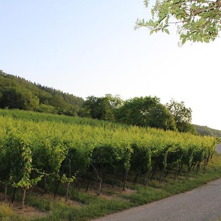 A L'Oree Des Vignes, Superbe Logement De 80 M2 Wangen Exterior foto