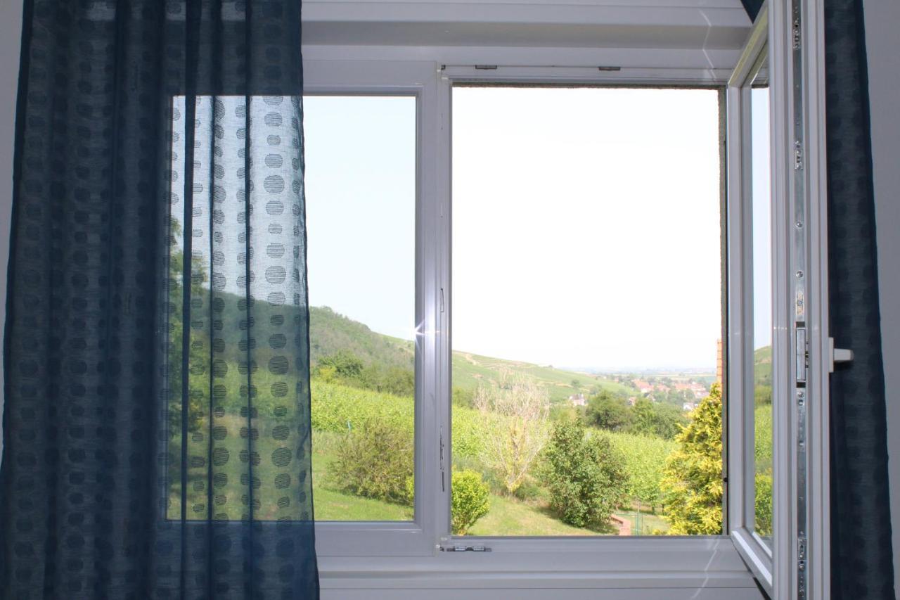 A L'Oree Des Vignes, Superbe Logement De 80 M2 Wangen Exterior foto