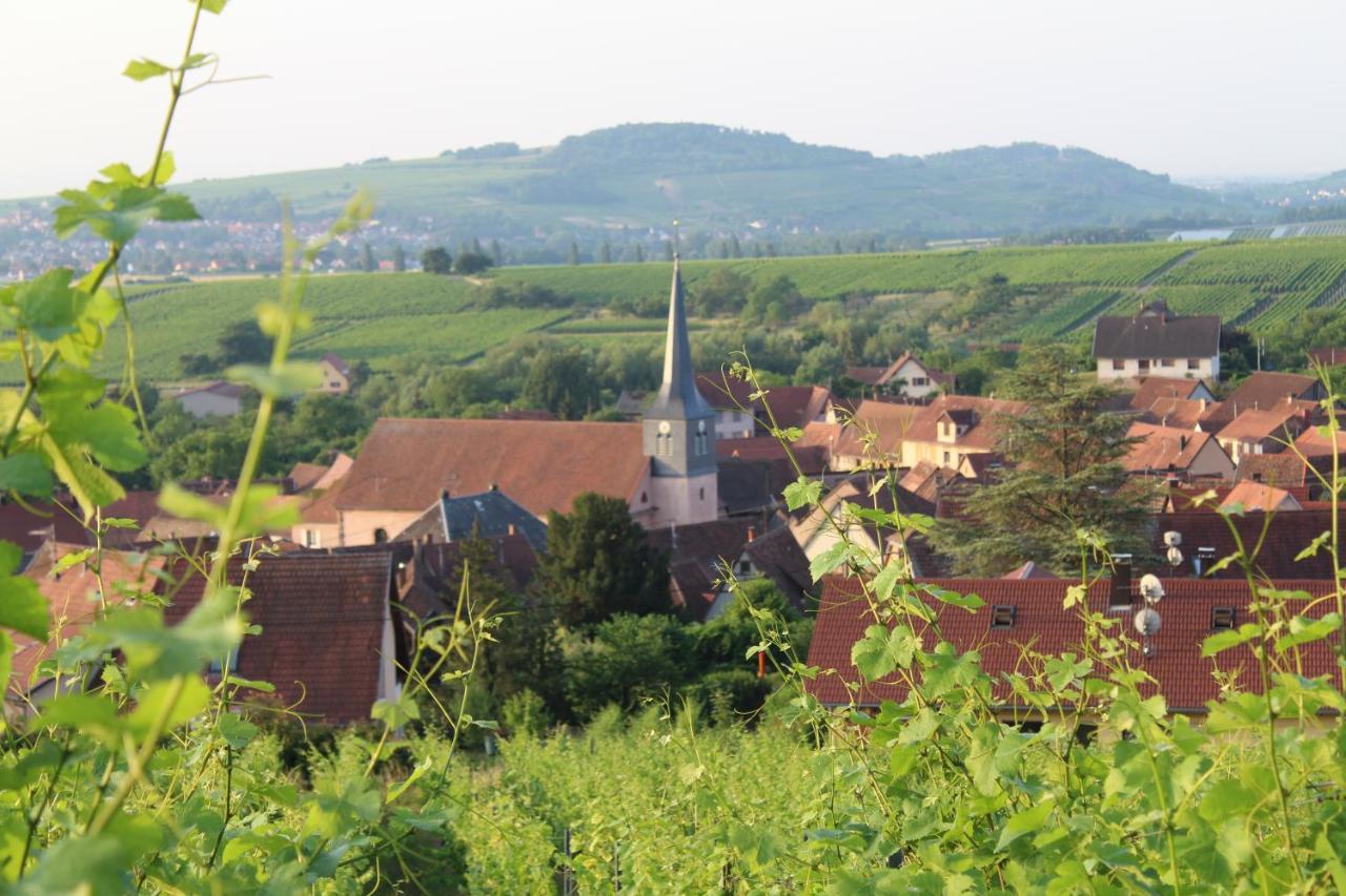 A L'Oree Des Vignes, Superbe Logement De 80 M2 Wangen Exterior foto