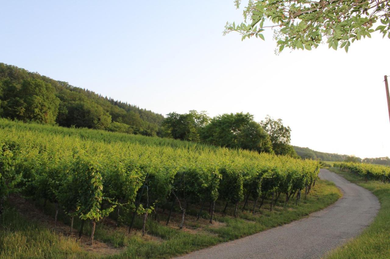 A L'Oree Des Vignes, Superbe Logement De 80 M2 Wangen Exterior foto